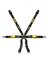 Schroth Porsche GT3 Enduro 2X2 Harness